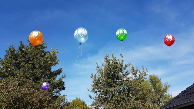 WhatsApp Image 2019-09-26 at 09.19.21